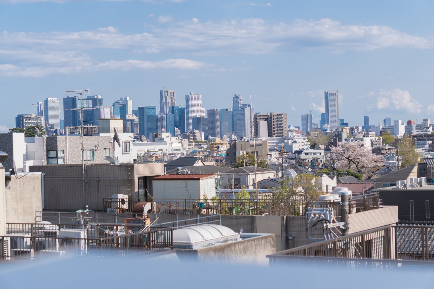 Tokyo city view from the guesthouse area